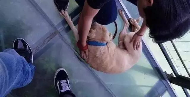 愛它,就不要將它拋向空中