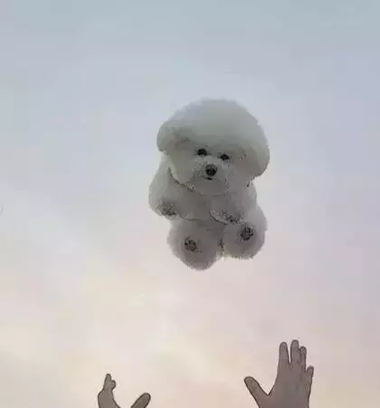 愛它,就不要將它拋向空中