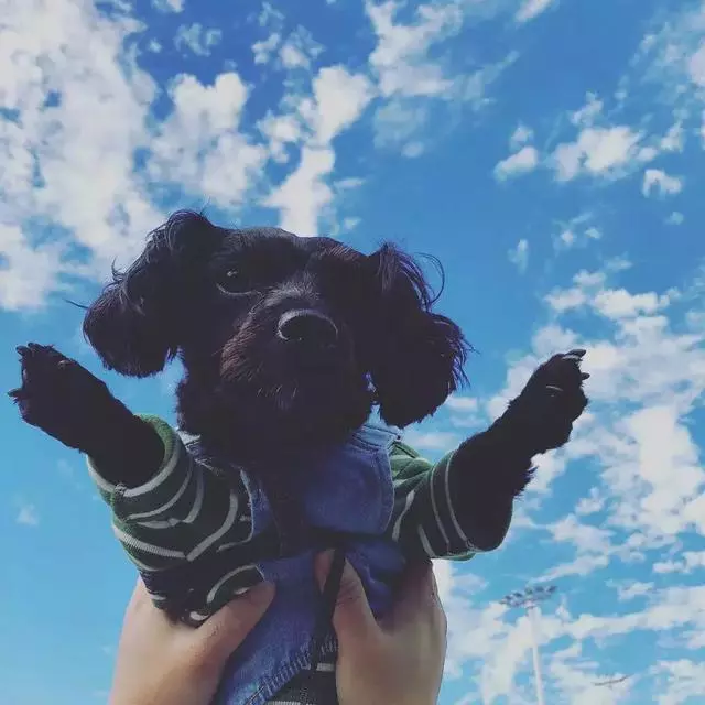 愛它,就不要將它拋向空中