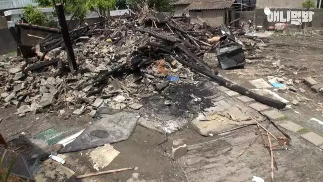 大火後,狗狗趴在廢墟中不斷哀鳴,「主人你快回來……」
