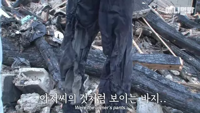 大火後,狗狗趴在廢墟中不斷哀鳴,「主人你快回來……」