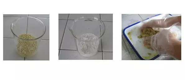 滅蟑螂簡單有效的方法