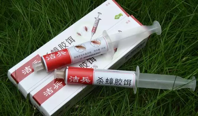 滅蟑螂簡單有效的方法