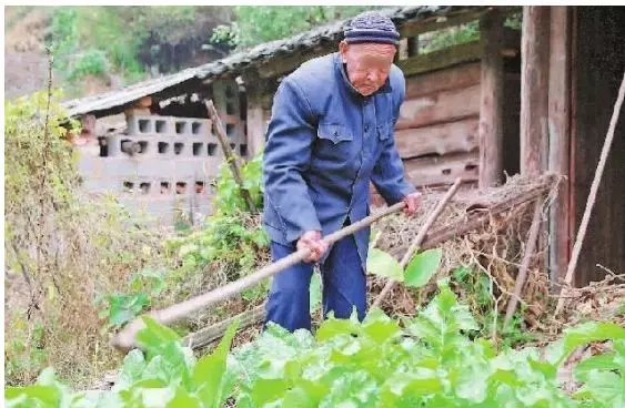 閨女遠嫁8年不回家,每月給父親寄錢,父親裝病騙她,到家後蒙了