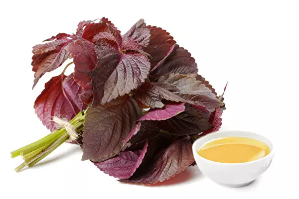 紫蘇油抗老 抗腸癌 有5種健康益處