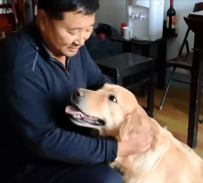 主人腿腳不便,暖心金毛幫提菜籠四年,每兩步回頭看主人在不在,得一此狗人生無憾