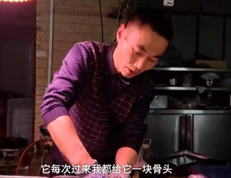 主人腿腳不便,暖心金毛幫提菜籠四年,每兩步回頭看主人在不在,得一此狗人生無憾