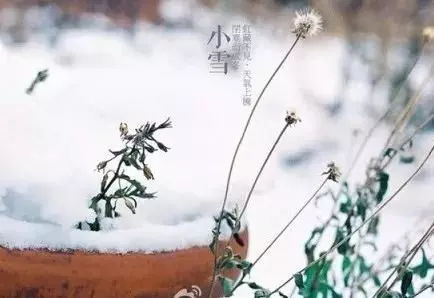 【一點資訊】今日小雪——養生要點 www.yidianzixun.com