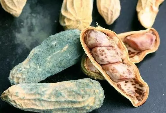 癌症是吃出來的,4種致癌「兇手」,醫生從來也不碰,你卻天天吃