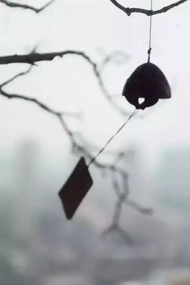 真正供養生命的東西,是思想,是精神,是靈魂,是內心的繁華似錦