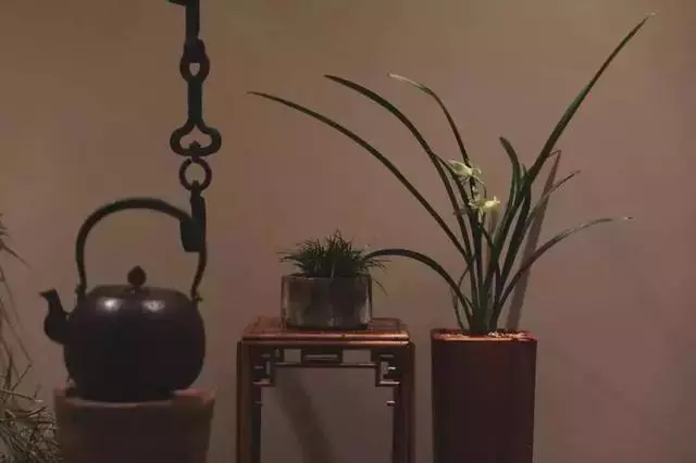 真正供養生命的東西,是思想,是精神,是靈魂,是內心的繁華似錦