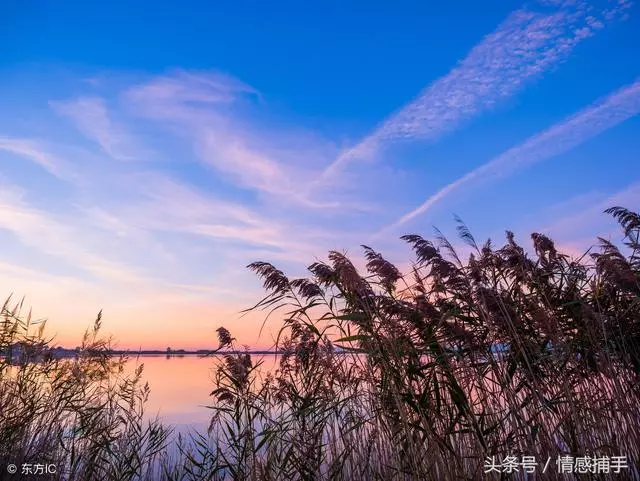 人活著,千萬不要等!(世上沒有後悔藥)_新聞_蛋蛋贊