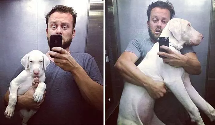 他以為病狗活不久了,每天陪伴愛犬記錄生活,拍一拍卻發現狗狗越活越健康!