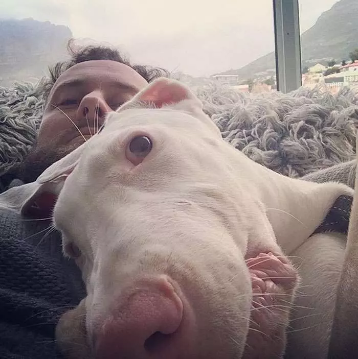 他以為病狗活不久了,每天陪伴愛犬記錄生活,拍一拍卻發現狗狗越活越健康!