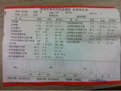 妻子怕死,不敢生孩子,領養孩子越來越像她,鑑定結果出來俺樂了