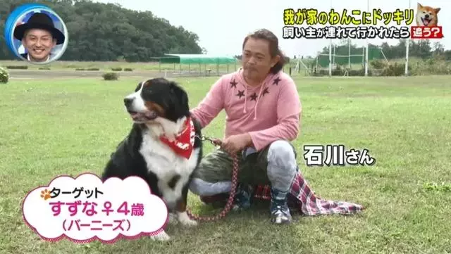 狗對主人是絕對忠誠的嗎?