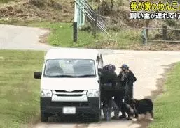 狗對主人是絕對忠誠的嗎?