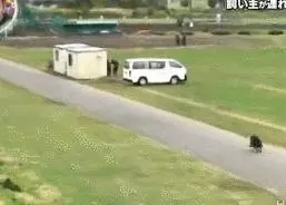 狗對主人是絕對忠誠的嗎?