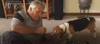我不配得到愛,因為我是一隻實驗犬