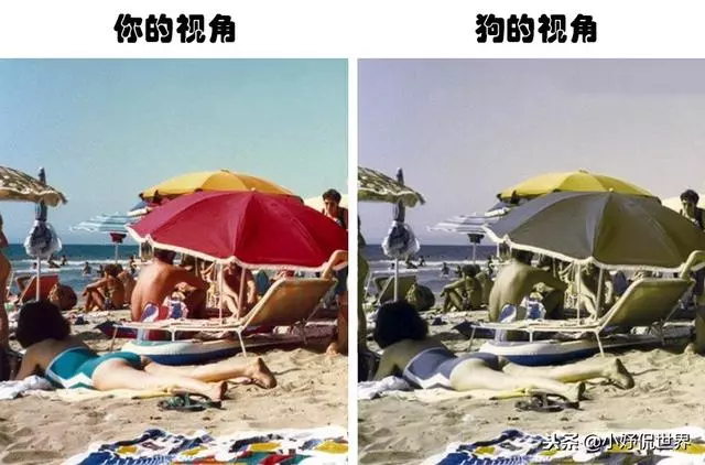 大多數的人在生活中一直存在的7個錯誤觀念