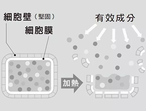 蔬菜生吃營養低?抗癌權威:煮湯最防癌