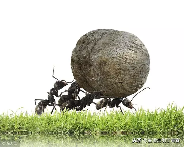 比爾蓋茨經典的十句話,受用終身,值得收藏