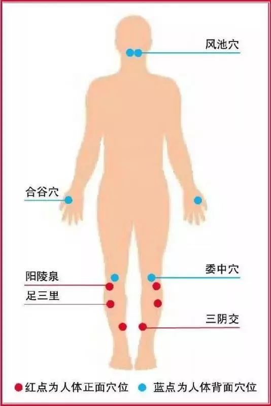 耳朵上有個便秘按鈕每天按壓2分鐘,快速通便,毒素全排空