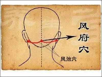 耳朵上有個便秘按鈕每天按壓2分鐘,快速通便,毒素全排空