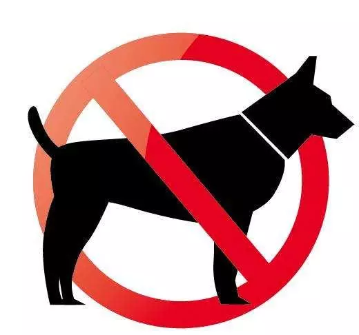 禁止飼養的6種狗狗,還在養的趕緊停止