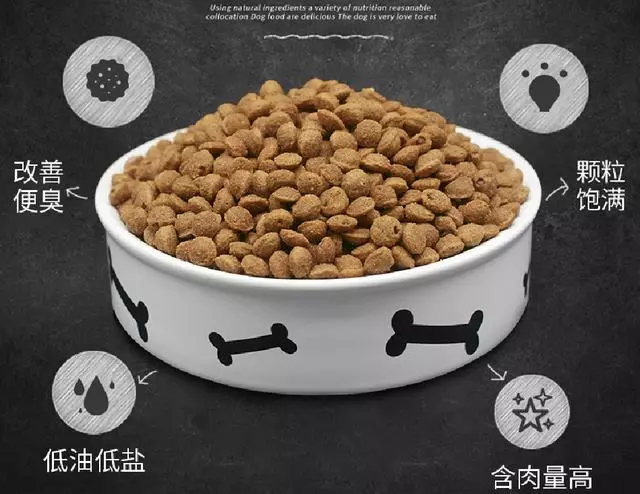 禁止飼養的6種狗狗,還在養的趕緊停止
