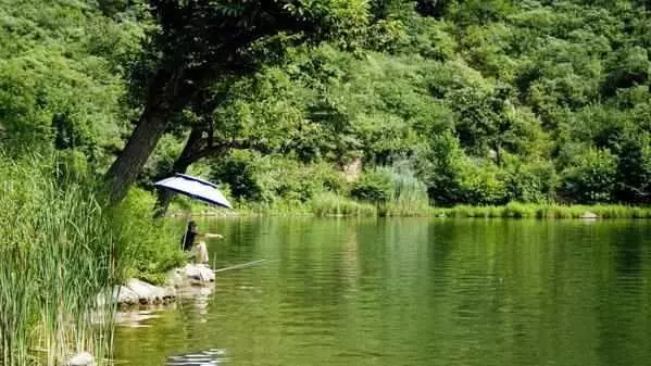 如果地球上的海水都變成淡水 將會發生什麼事情 超出你的想像