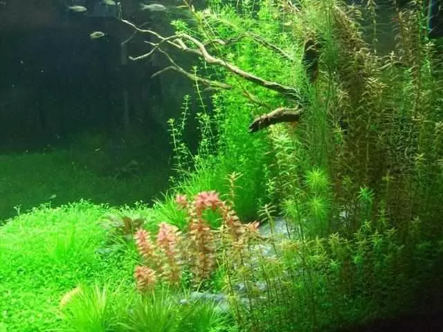 如果地球上的海水都變成淡水 將會發生什麼事情 超出你的想像