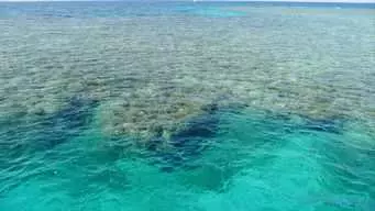 如果地球上的海水都變成淡水 將會發生什麼事情 超出你的想像