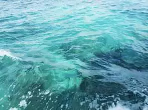 如果地球上的海水都變成淡水 將會發生什麼事情 超出你的想像