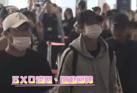 EXO燦烈世勛搭「廉航」回韓,開心亮相機場!網友:學學人家