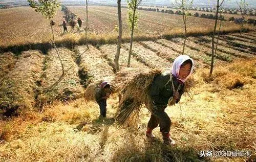 兒子車禍去世,我勸兒媳改嫁,在婚禮上瞥見新郎,我如遭雷擊