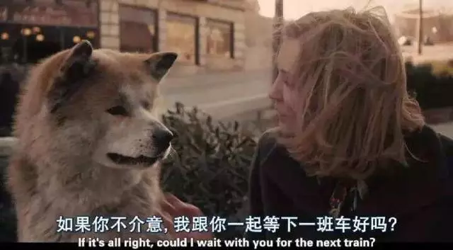 狗狗忠誠你的5大表現,看你有沒有「白」養它!