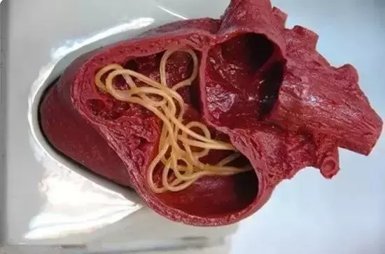 兩個月狗狗渾身黑點,主人接觸後身上奇癢無比