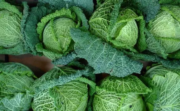 這8種常見食材,如果不經人工處理,我相信你連鹽都認不出來