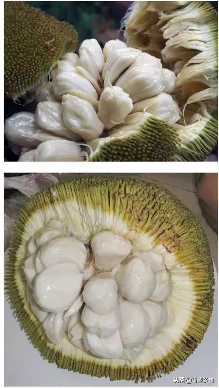 50種不常見的奇葩水果,看看你吃過哪幾個?