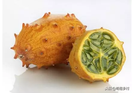 50種不常見的奇葩水果,看看你吃過哪幾個?