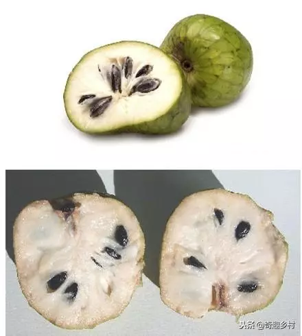 50種不常見的奇葩水果,看看你吃過哪幾個?