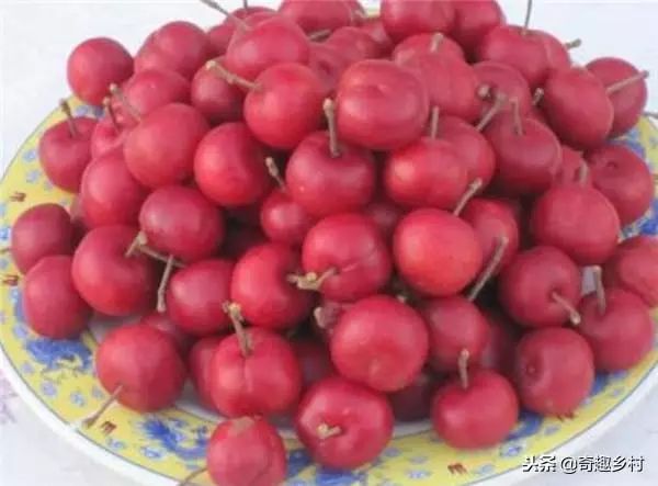 50種不常見的奇葩水果,看看你吃過哪幾個?