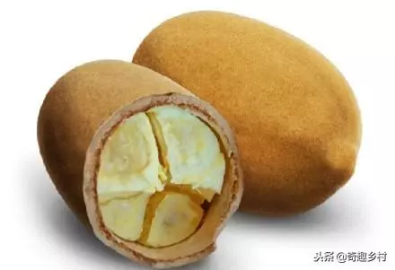 50種不常見的奇葩水果,看看你吃過哪幾個?