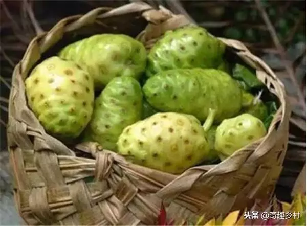 50種不常見的奇葩水果,看看你吃過哪幾個?