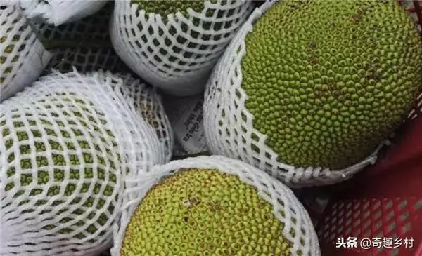 50種不常見的奇葩水果,看看你吃過哪幾個?