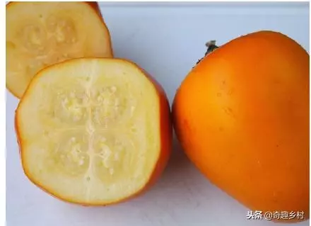 50種不常見的奇葩水果,看看你吃過哪幾個?