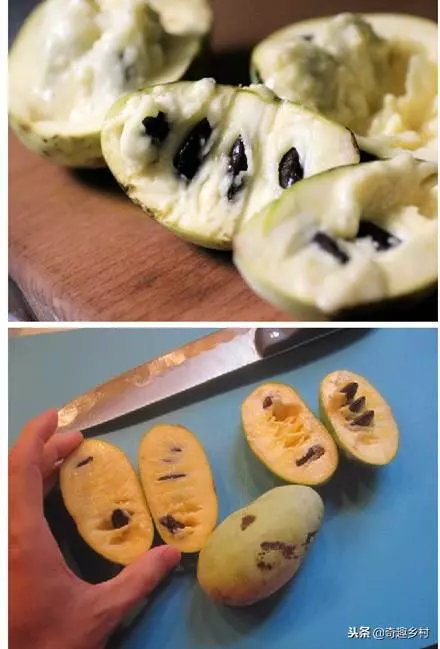 50種不常見的奇葩水果,看看你吃過哪幾個?