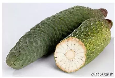 50種不常見的奇葩水果,看看你吃過哪幾個?