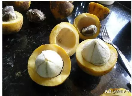 50種不常見的奇葩水果,看看你吃過哪幾個?